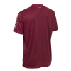 Футболка SELECT Pisa player shirt s/s Bordeuax